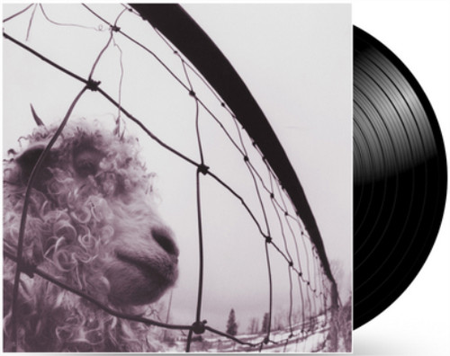 Pearl jam 12 - (vinyl), 12"