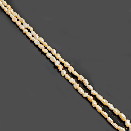 Queen pearl rose naturel - of,